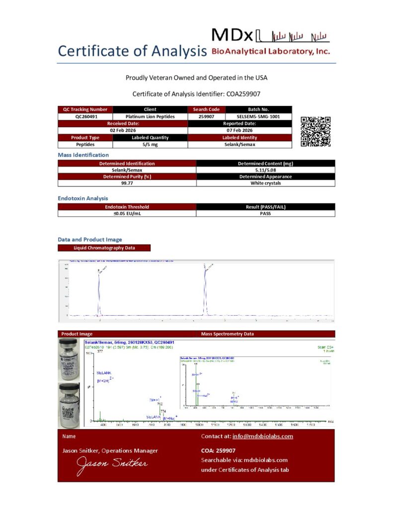 PDF preview
